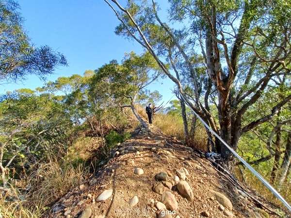 【彰化社頭】田中大小劍登內樹尾山下十八彎古道