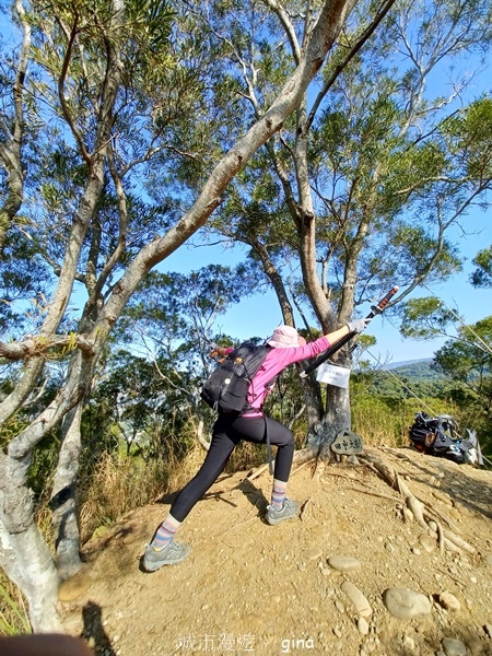 【彰化社頭】田中大小劍登內樹尾山下十八彎古道