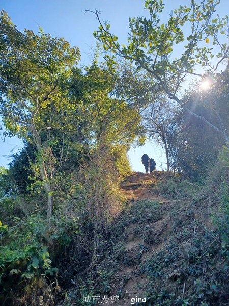 【彰化社頭】田中大小劍登內樹尾山下十八彎古道