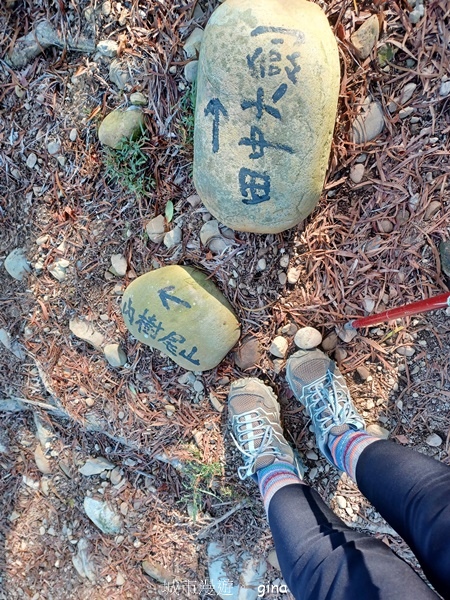 【彰化社頭】田中大小劍登內樹尾山下十八彎古道