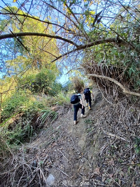 【彰化社頭】田中大小劍登內樹尾山下十八彎古道