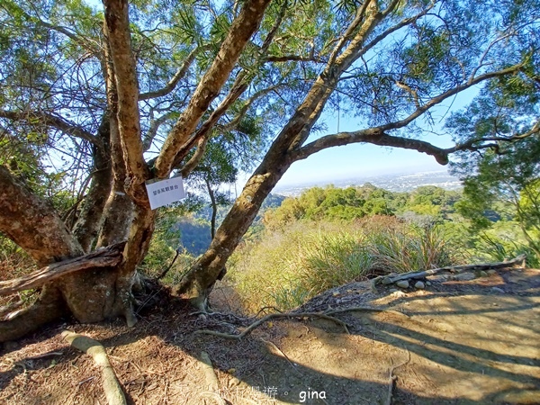【彰化社頭】田中大小劍登內樹尾山下十八彎古道