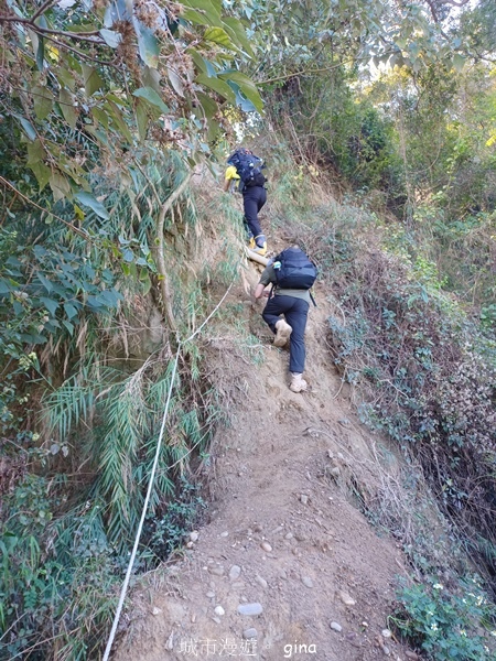 【彰化社頭】田中大小劍登內樹尾山下十八彎古道