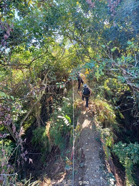 【彰化社頭】田中大小劍登內樹尾山下十八彎古道