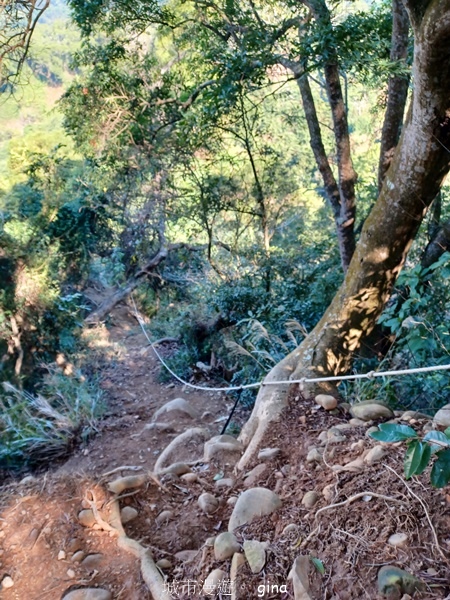 【彰化社頭】田中大小劍登內樹尾山下十八彎古道