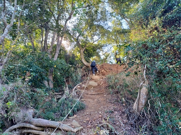 【彰化社頭】田中大小劍登內樹尾山下十八彎古道