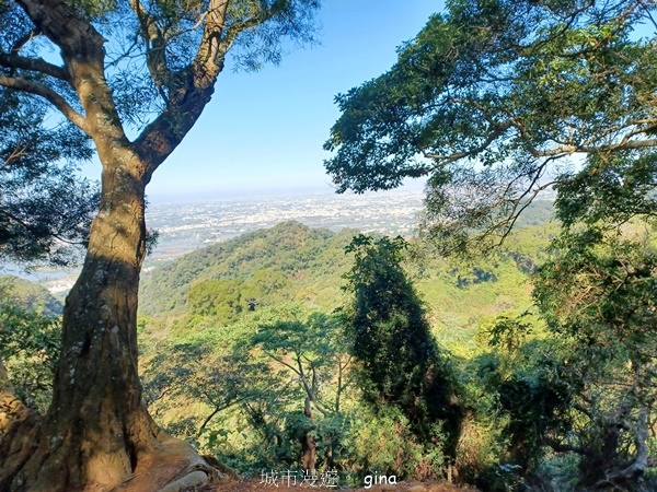 【彰化社頭】田中大小劍登內樹尾山下十八彎古道