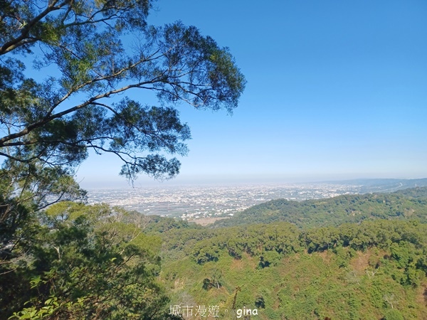 【彰化社頭】田中大小劍登內樹尾山下十八彎古道