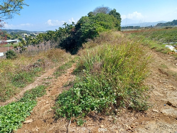 【彰化社頭】田中大小劍登內樹尾山下十八彎古道