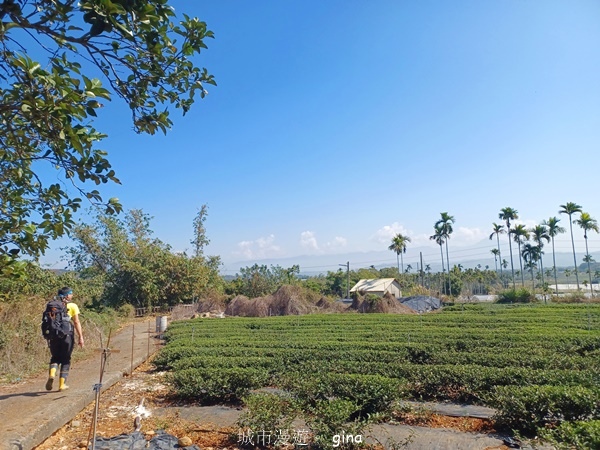 【彰化社頭】田中大小劍登內樹尾山下十八彎古道