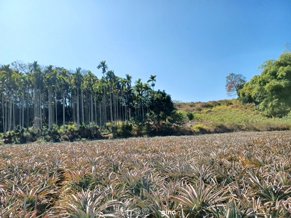 【彰化社頭】田中大小劍登內樹尾山下十八彎古道