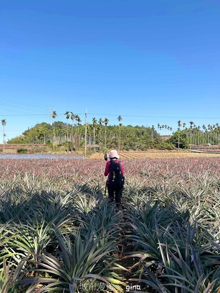 【彰化社頭】田中大小劍登內樹尾山下十八彎古道