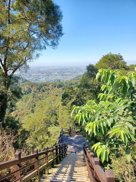 【彰化社頭】田中大小劍登內樹尾山下十八彎古道