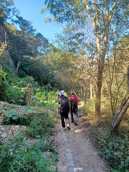 【彰化社頭】田中大小劍登內樹尾山下十八彎古道