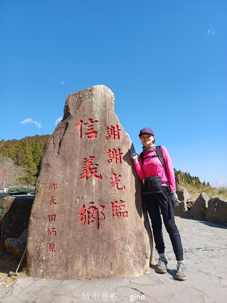 【嘉義阿里山鄉】清悠靜謐鳥語聲。 特富野古道~自忠特富野達邦