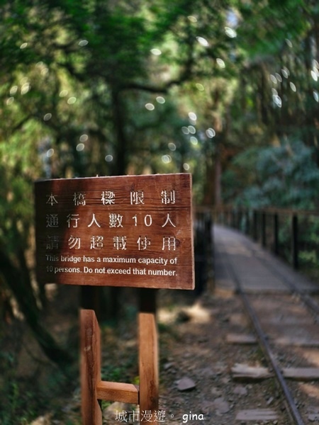 【嘉義阿里山鄉】清悠靜謐鳥語聲。 特富野古道~自忠特富野達邦