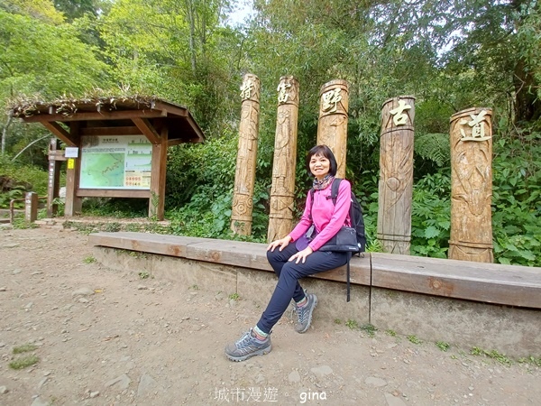 【嘉義阿里山鄉】清悠靜謐鳥語聲。 特富野古道~自忠特富野達邦