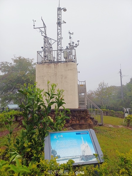 【南投魚池埔里】貓纜山步道x胡國雄古早x 埔里肉包李x台灣惠