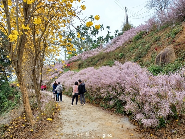 【南投中寮】粉紅山丘麝香木。 瑰蜜甜心玫瑰園x泡麵土地公