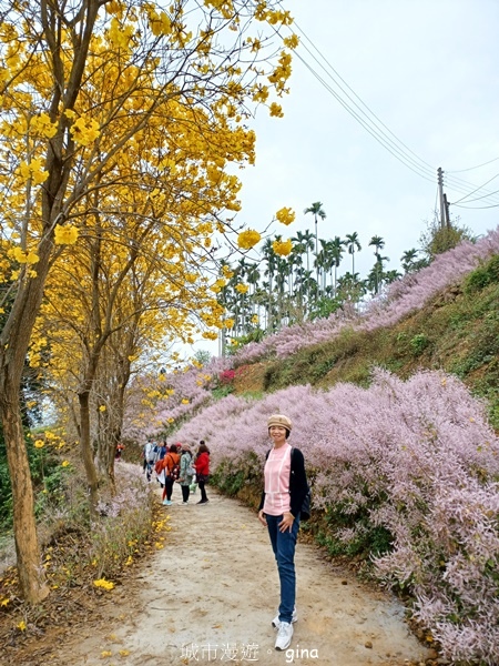 【南投中寮】粉紅山丘麝香木。 瑰蜜甜心玫瑰園x泡麵土地公