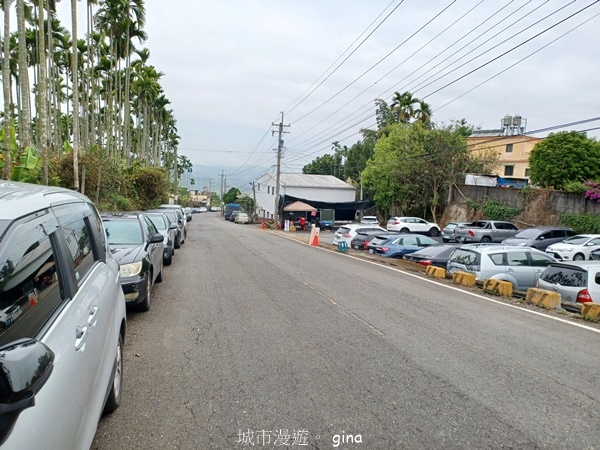 【南投中寮】粉紅山丘麝香木。 瑰蜜甜心玫瑰園x泡麵土地公