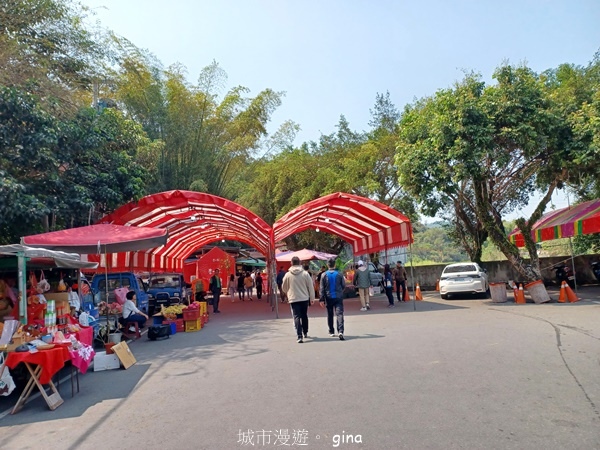 【南投中寮】粉紅山丘麝香木。 瑰蜜甜心玫瑰園x泡麵土地公