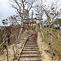 20240309_140058.jpg