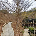 20240309_144524.jpg