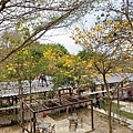 20240309_144441.jpg