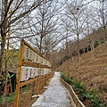 20240309_144940.jpg