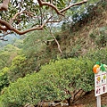 20240405_130421.jpg