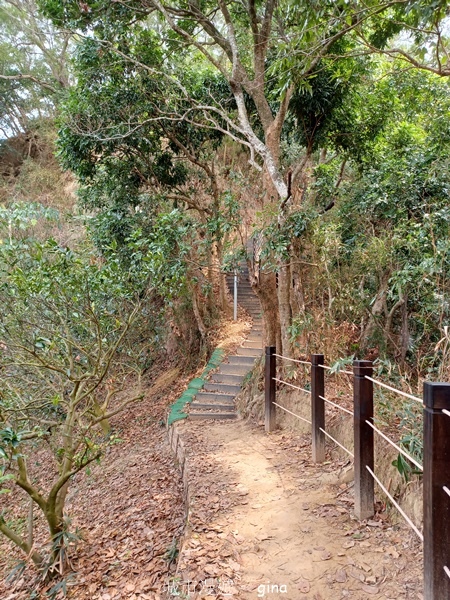 【台中豐原】豐原萬里長城登山步道x寮水山