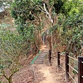 20240405_130452.jpg