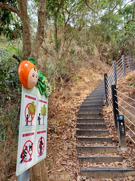 【台中豐原】豐原萬里長城登山步道x寮水山