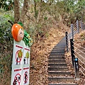 20240405_130513.jpg