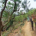 20240405_131010.jpg