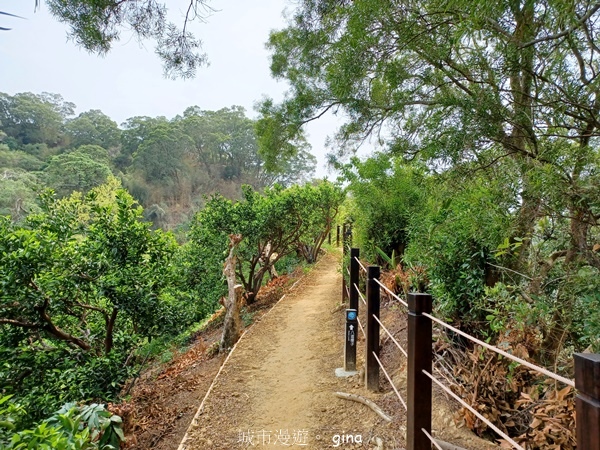 【台中豐原】豐原萬里長城登山步道x寮水山