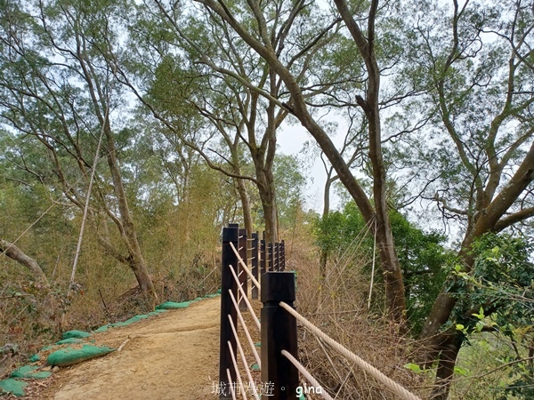 【台中豐原】豐原萬里長城登山步道x寮水山