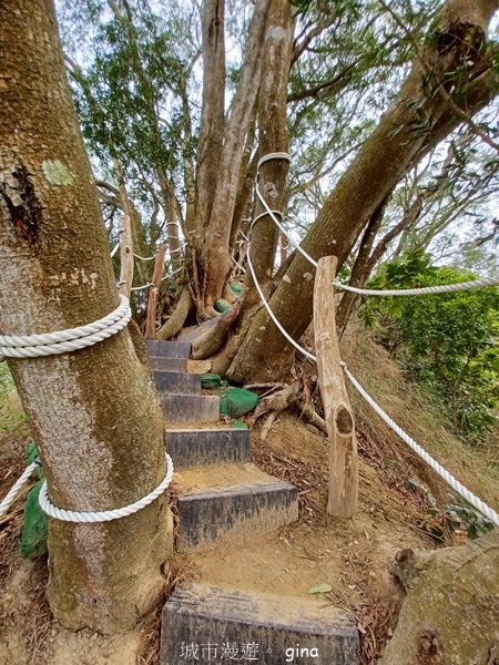 【台中豐原】豐原萬里長城登山步道x寮水山