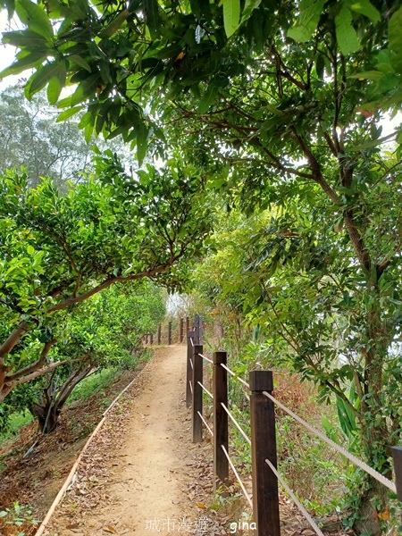 【台中豐原】豐原萬里長城登山步道x寮水山