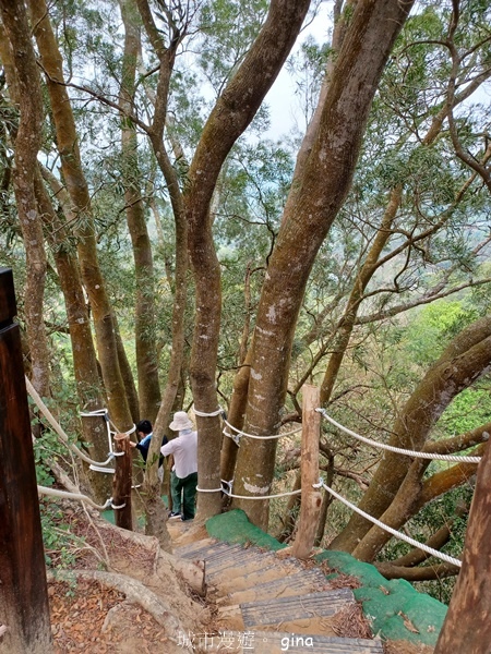 【台中豐原】豐原萬里長城登山步道x寮水山