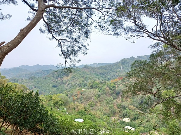 【台中豐原】豐原萬里長城登山步道x寮水山