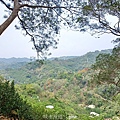 20240405_131838.jpg