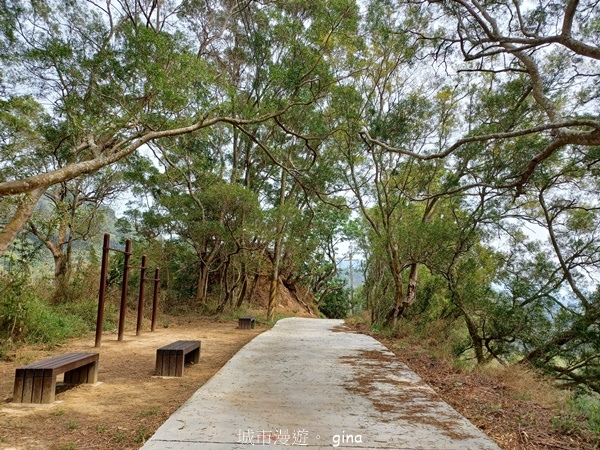 【台中豐原】豐原萬里長城登山步道x寮水山