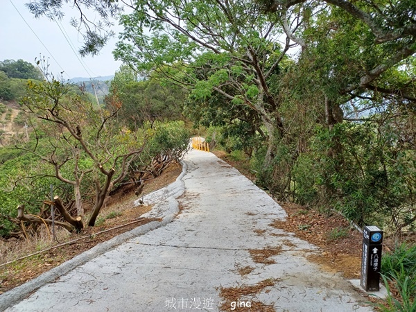 【台中豐原】豐原萬里長城登山步道x寮水山
