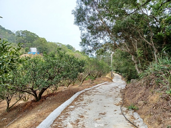 【台中豐原】豐原萬里長城登山步道x寮水山