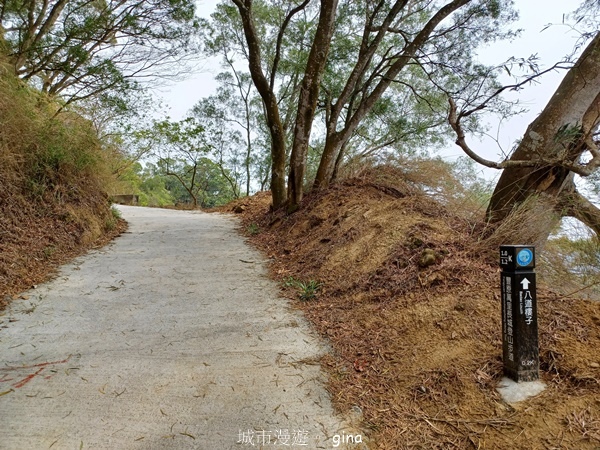 【台中豐原】豐原萬里長城登山步道x寮水山