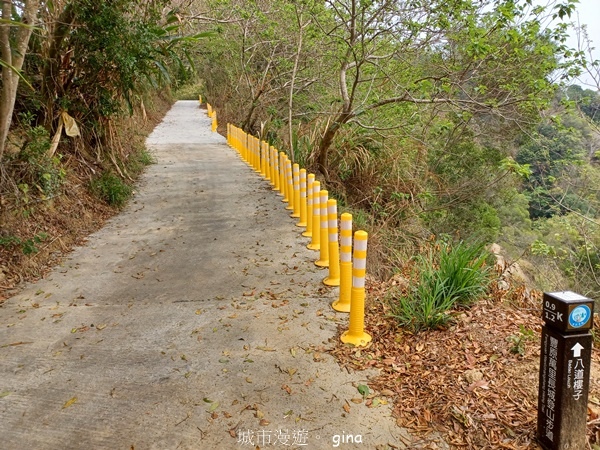 【台中豐原】豐原萬里長城登山步道x寮水山