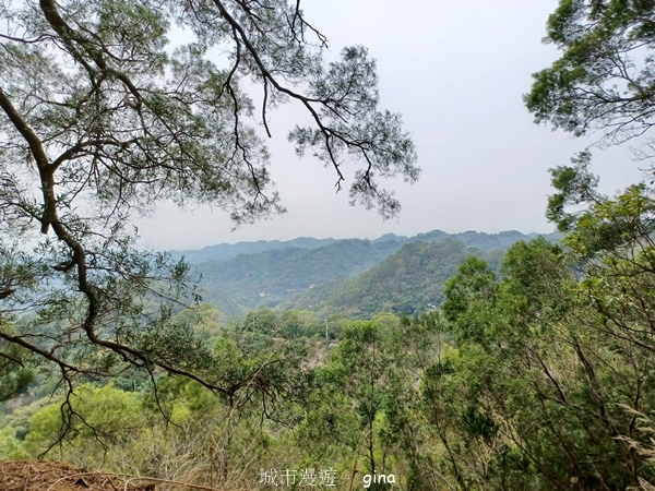 【台中豐原】豐原萬里長城登山步道x寮水山