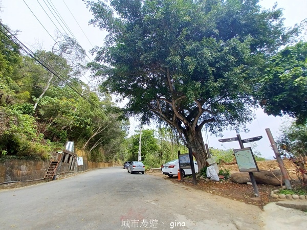 【台中豐原】豐原萬里長城登山步道x寮水山